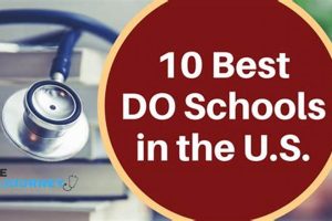 Top 10 Best DO Schools: Ultimate Guide Best Schools in America: Top Public & Private Options Top 10 Best DO Schools: Ultimate Guide | Best Schools in America: Top Public & Private Options