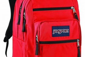 Top 10 Large School Backpacks for Students Best Schools in America: Top Public & Private Options Top 10 Large School Backpacks for Students | Best Schools in America: Top Public & Private Options