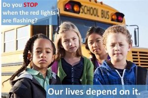 Safe & Reliable: Moore County Schools Transportation Info Best Schools in America: Top Public & Private Options Safe & Reliable: Moore County Schools Transportation Info | Best Schools in America: Top Public & Private Options
