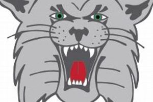 Canton South High School Assault: Incident & Safety Info Best Schools in America: Top Public & Private Options Canton South High School Assault: Incident & Safety Info | Best Schools in America: Top Public & Private Options