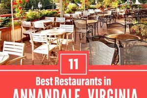 Taste the Best Food in Annandale, VA: A Culinary Guide Best Schools in America: Top Public & Private Options Taste the Best Food in Annandale, VA: A Culinary Guide | Best Schools in America: Top Public & Private Options