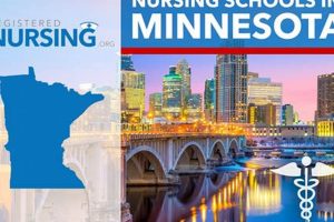 Top 10 Nursing Schools in Minnesota 2024 Best Schools in America: Top Public & Private Options Top 10 Nursing Schools in Minnesota 2024 | Best Schools in America: Top Public & Private Options