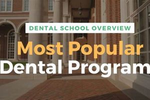 Top Dental Schools in the US: 2024 Rankings Best Schools in America: Top Public & Private Options Top Dental Schools in the US: 2024 Rankings | Best Schools in America: Top Public & Private Options