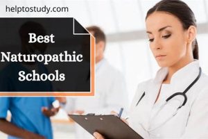 Best Naturopathic Schools In The World Best Schools in America: Top Public & Private Options Best Naturopathic Schools In The World | Best Schools in America: Top Public & Private Options