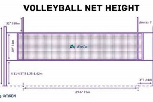 Official High School Volleyball Net: Setup & Specs Best Schools in America: Top Public & Private Options Official High School Volleyball Net: Setup & Specs | Best Schools in America: Top Public & Private Options