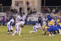 Go Lyons Lions! High School Football Updates Best Schools in America: Top Public & Private Options Go Lyons Lions! High School Football Updates | Best Schools in America: Top Public & Private Options