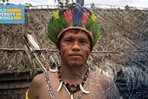 Top Best Schools for Anthropology Programs Best Schools in America: Top Public & Private Options Top Best Schools for Anthropology Programs | Best Schools in America: Top Public & Private Options