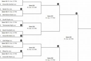 TN High School Football Playoffs: Bracket & Schedule Best Schools in America: Top Public & Private Options TN High School Football Playoffs: Bracket & Schedule | Best Schools in America: Top Public & Private Options