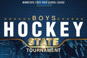 Get MN State High School Hockey Tickets 2024! Best Schools in America: Top Public & Private Options Get MN State High School Hockey Tickets 2024! | Best Schools in America: Top Public & Private Options