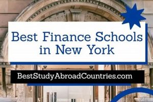 Top Finance Schools in NYC: 2024 Guide Best Schools in America: Top Public & Private Options Top Finance Schools in NYC: 2024 Guide | Best Schools in America: Top Public & Private Options