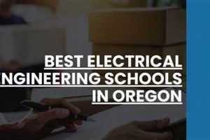 Top Engineering Schools in Oregon: 2024 Guide Best Schools in America: Top Public & Private Options Top Engineering Schools in Oregon: 2024 Guide | Best Schools in America: Top Public & Private Options