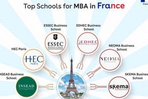 Top Business Schools in France: 2024 Guide Best Schools in America: Top Public & Private Options Top Business Schools in France: 2024 Guide | Best Schools in America: Top Public & Private Options