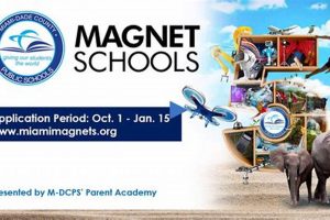 Top Miami-Dade Magnet Schools: A 2024 Guide Best Schools in America: Top Public & Private Options Top Miami-Dade Magnet Schools: A 2024 Guide | Best Schools in America: Top Public & Private Options