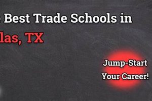 Top Trade Schools in Dallas: 2024 Guide Best Schools in America: Top Public & Private Options Top Trade Schools in Dallas: 2024 Guide | Best Schools in America: Top Public & Private Options