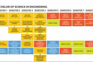 Top Chemical Engineering Schools & Programs 2024 Best Schools in America: Top Public & Private Options Top Chemical Engineering Schools & Programs 2024 | Best Schools in America: Top Public & Private Options