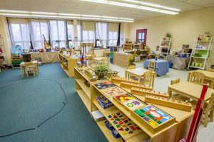 Montessori Schools Elementary Best Schools in America: Top Public & Private Options Montessori Schools Elementary | Best Schools in America: Top Public & Private Options