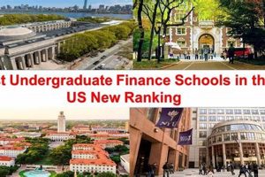 Top 10 Best Undergraduate Finance Schools in 2024 Best Schools in America: Top Public & Private Options Top 10 Best Undergraduate Finance Schools in 2024 | Best Schools in America: Top Public & Private Options