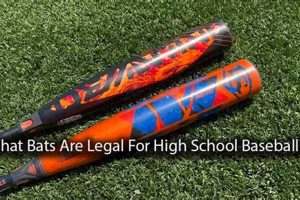 High School Baseball Bats: Wood vs. Metal? Best Schools in America: Top Public & Private Options High School Baseball Bats: Wood vs. Metal? | Best Schools in America: Top Public & Private Options