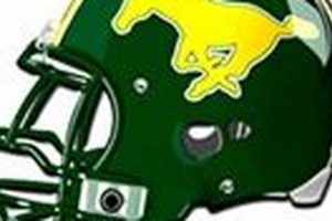 Nixon High School Football: Team & Schedule Best Schools in America: Top Public & Private Options Nixon High School Football: Team & Schedule | Best Schools in America: Top Public & Private Options
