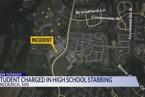 Tuscarora High Stabbing: Aftermath & Safety Best Schools in America: Top Public & Private Options Tuscarora High Stabbing: Aftermath & Safety | Best Schools in America: Top Public & Private Options