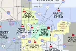 Top-Rated Denver Metro Area Schools & Districts Best Schools in America: Top Public & Private Options Top-Rated Denver Metro Area Schools & Districts | Best Schools in America: Top Public & Private Options