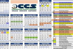 Cumberland County Schools' Holiday Break Guide Best Schools in America: Top Public & Private Options Cumberland County Schools' Holiday Break Guide | Best Schools in America: Top Public & Private Options