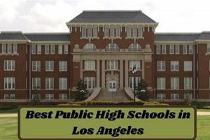Top Best Schools in Los Angeles 2024 Best Schools in America: Top Public & Private Options Top Best Schools in Los Angeles 2024 | Best Schools in America: Top Public & Private Options