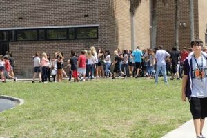Best Palm Harbor Middle Schools: Guide Best Schools in America: Top Public & Private Options Best Palm Harbor Middle Schools: Guide | Best Schools in America: Top Public & Private Options