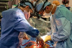 Heart Surgery Costs: Not at Marshfield High Best Schools in America: Top Public & Private Options Heart Surgery Costs: Not at Marshfield High | Best Schools in America: Top Public & Private Options