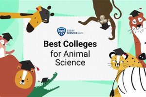Top 10 Best Schools for Animal Science Degrees 2024 Best Schools in America: Top Public & Private Options Top 10 Best Schools for Animal Science Degrees 2024 | Best Schools in America: Top Public & Private Options