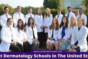 Best Dermatology Schools In Us Best Schools in America: Top Public & Private Options Best Dermatology Schools In Us | Best Schools in America: Top Public & Private Options