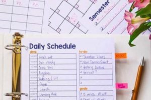 Best High School Planners for Student Success Best Schools in America: Top Public & Private Options Best High School Planners for Student Success | Best Schools in America: Top Public & Private Options