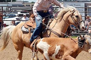 SD High School Rodeo Draw 2024: Official Results Best Schools in America: Top Public & Private Options SD High School Rodeo Draw 2024: Official Results | Best Schools in America: Top Public & Private Options