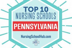 Top 10 Best Nursing Schools in PA 2024 Best Schools in America: Top Public & Private Options Top 10 Best Nursing Schools in PA 2024 | Best Schools in America: Top Public & Private Options
