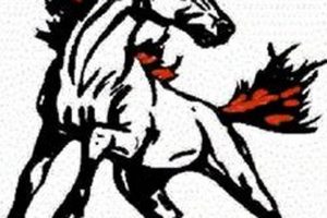 Barnwell High Football: 2024 Schedule & Tickets Best Schools in America: Top Public & Private Options Barnwell High Football: 2024 Schedule & Tickets | Best Schools in America: Top Public & Private Options