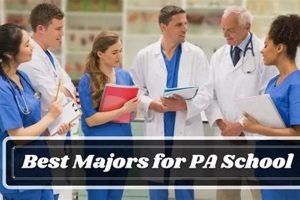 Top Undergraduate Majors for PA School Success Best Schools in America: Top Public & Private Options Top Undergraduate Majors for PA School Success | Best Schools in America: Top Public & Private Options