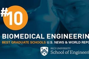 Top Bioengineering Undergraduate Programs & Schools Best Schools in America: Top Public & Private Options Top Bioengineering Undergraduate Programs & Schools | Best Schools in America: Top Public & Private Options