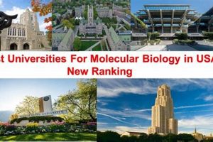 Top 10 Best Biology Schools in the US 2024 Best Schools in America: Top Public & Private Options Top 10 Best Biology Schools in the US 2024 | Best Schools in America: Top Public & Private Options