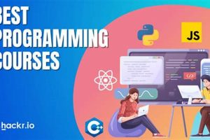 Top 10 Best Programming Schools: 2024 Guide Best Schools in America: Top Public & Private Options Top 10 Best Programming Schools: 2024 Guide | Best Schools in America: Top Public & Private Options