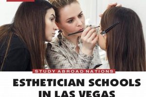Top Esthetician Schools Las Vegas: 2024 Guide Best Schools in America: Top Public & Private Options Top Esthetician Schools Las Vegas: 2024 Guide | Best Schools in America: Top Public & Private Options