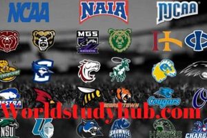 Top Academic NAIA Schools: A 2024 Guide Best Schools in America: Top Public & Private Options Top Academic NAIA Schools: A 2024 Guide | Best Schools in America: Top Public & Private Options