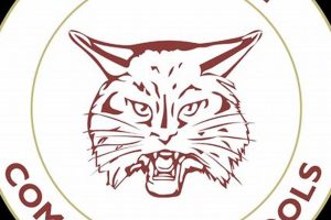 Brandywine High School Sports Best Schools in America: Top Public & Private Options Brandywine High School Sports | Best Schools in America: Top Public & Private Options