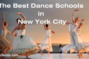 Top NYC Ballet Schools: Find the Best Fit Best Schools in America: Top Public & Private Options Top NYC Ballet Schools: Find the Best Fit | Best Schools in America: Top Public & Private Options