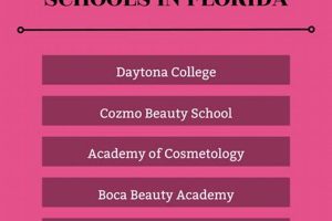 Top Beauty Schools in Florida: 2024 Guide Best Schools in America: Top Public & Private Options Top Beauty Schools in Florida: 2024 Guide | Best Schools in America: Top Public & Private Options