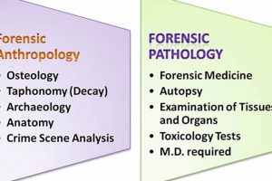 Top Forensic Pathology Schools: Guide & Rankings Best Schools in America: Top Public & Private Options Top Forensic Pathology Schools: Guide & Rankings | Best Schools in America: Top Public & Private Options