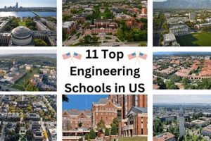 Top Engineering Schools in Louisiana: 2024 Guide Best Schools in America: Top Public & Private Options Top Engineering Schools in Louisiana: 2024 Guide | Best Schools in America: Top Public & Private Options