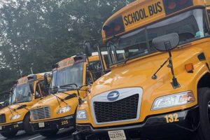 Safe Stafford County Schools Transportation Guide Best Schools in America: Top Public & Private Options Safe Stafford County Schools Transportation Guide | Best Schools in America: Top Public & Private Options