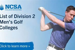 Top 10 Best D2 Golf Schools: Guide & Rankings Best Schools in America: Top Public & Private Options Top 10 Best D2 Golf Schools: Guide & Rankings | Best Schools in America: Top Public & Private Options
