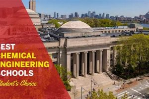 Top 10 Chemical Engineering Schools: 2024 Guide Best Schools in America: Top Public & Private Options Top 10 Chemical Engineering Schools: 2024 Guide | Best Schools in America: Top Public & Private Options