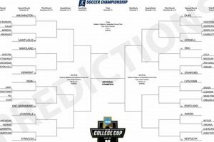 Orange High School North Carolina Mens Soccer Schedule 2024 Best Schools in America: Top Public & Private Options Orange High School North Carolina Mens Soccer Schedule 2024 | Best Schools in America: Top Public & Private Options